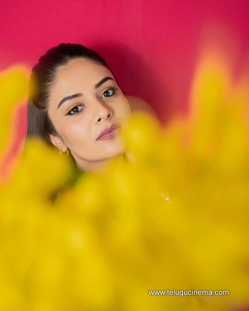 sreemukhi stills 22042506