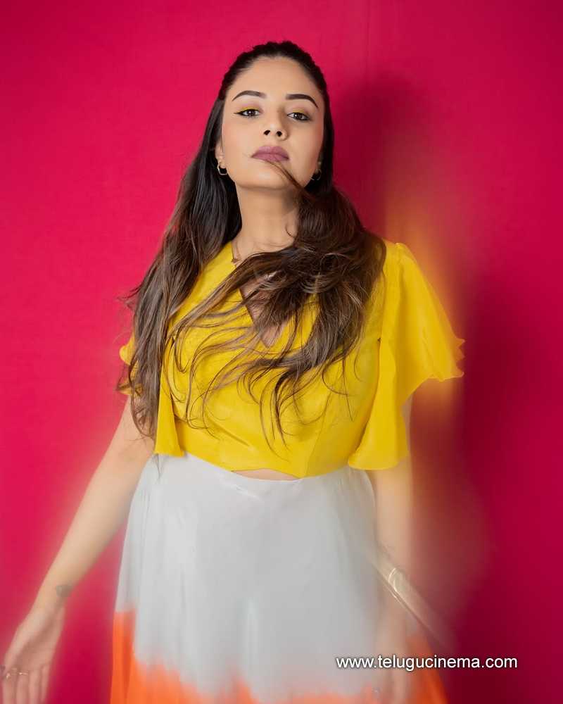 sreemukhi stills 22042507