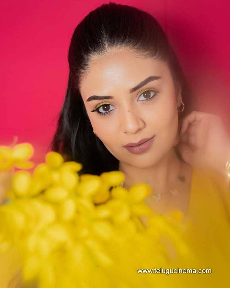 sreemukhi stills 22042510
