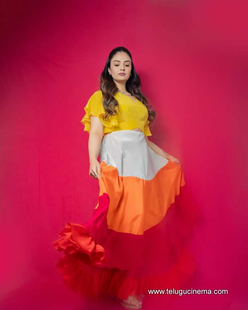 sreemukhi stills 22042511
