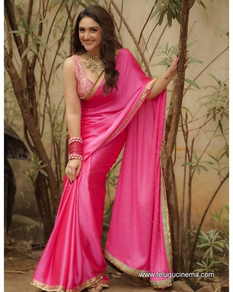 sridevi stills 30042504