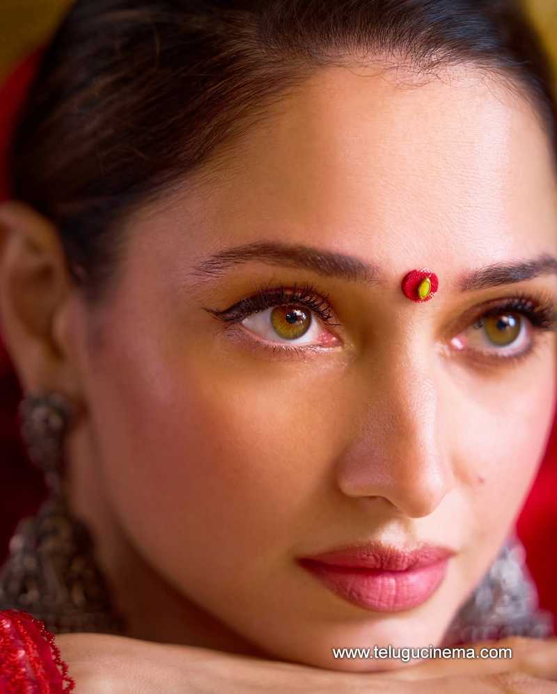 tamannah stills 08042503