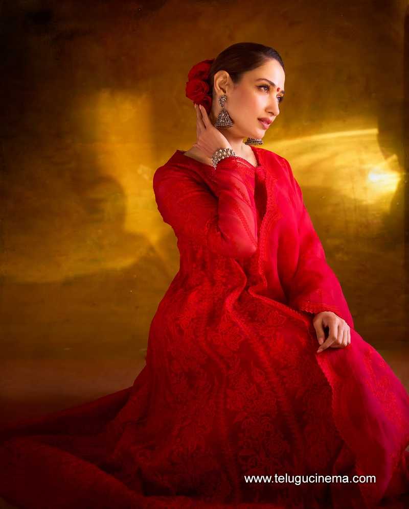 tamannah stills 08042504