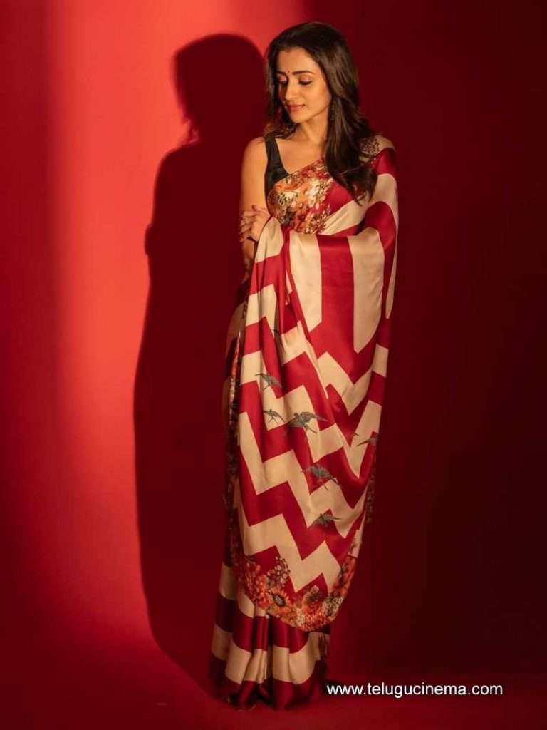 trisha stills 19042503