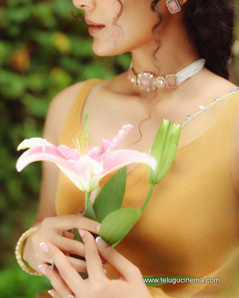 aakansha stills 280525 03