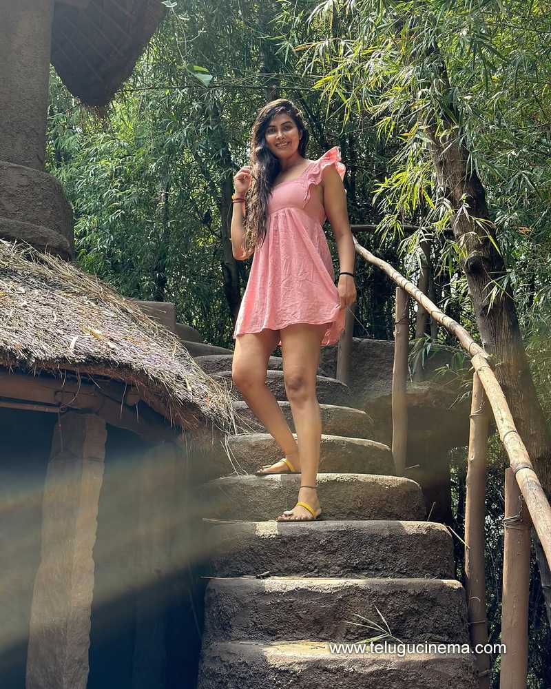 divi stills 280525 01