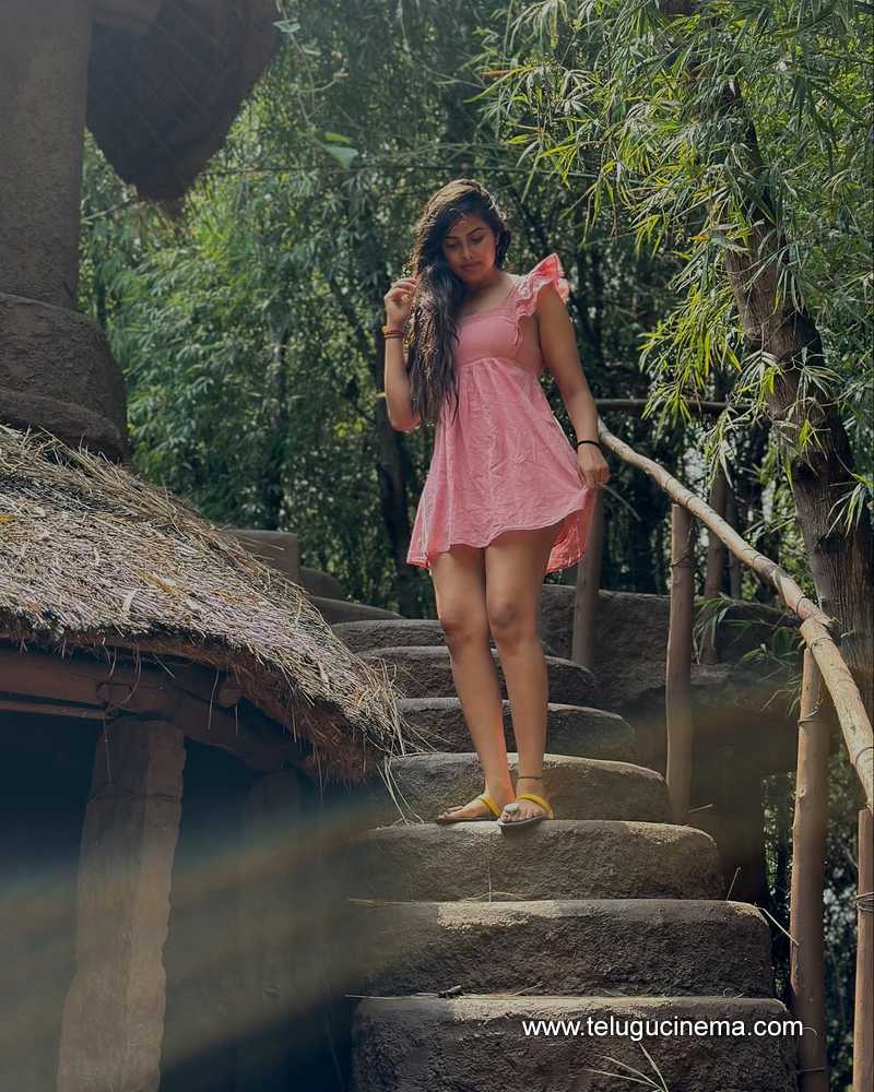 divi stills 280525 02