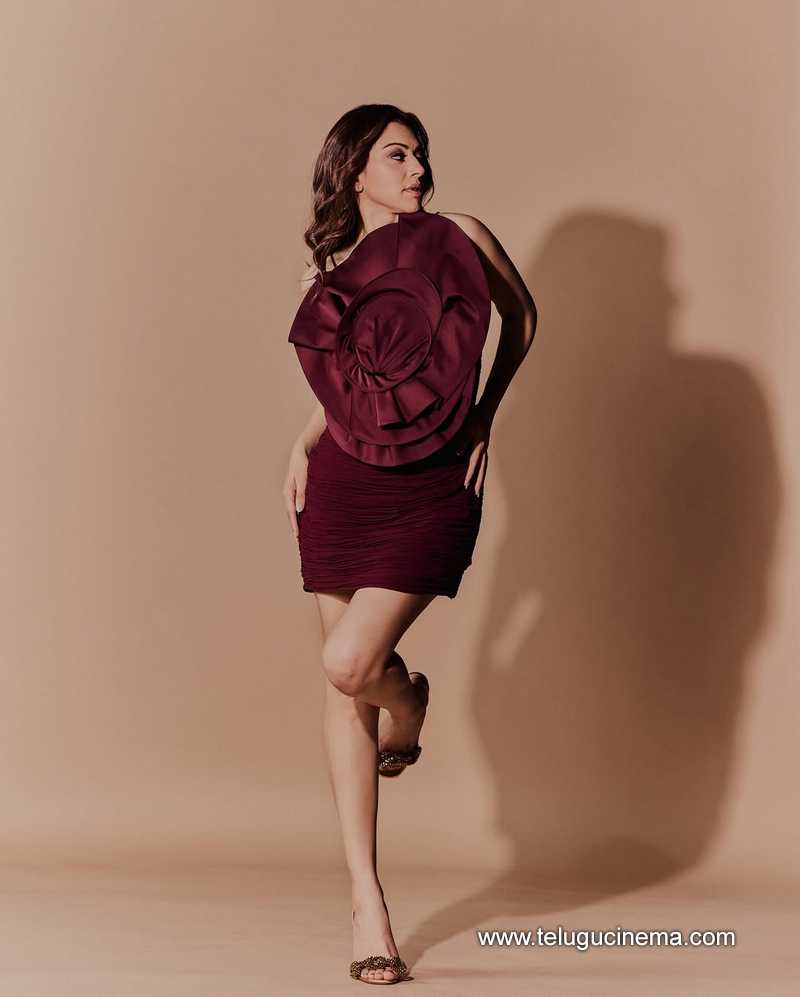Hansika's hot as fire pose