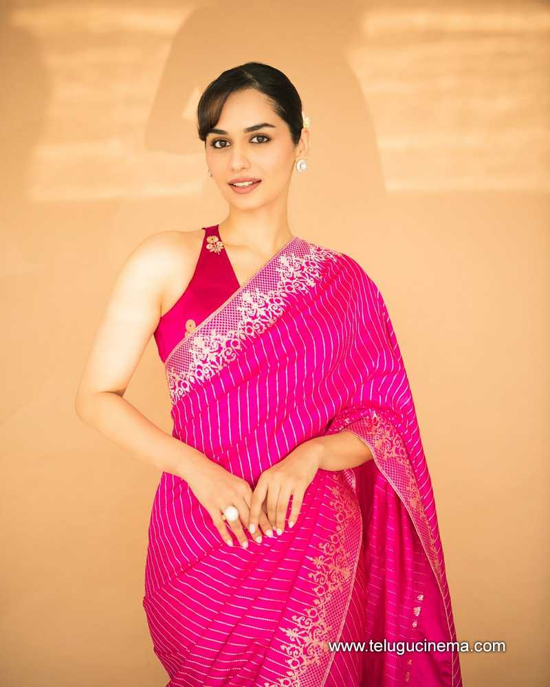 manuhsi stills 02052507
