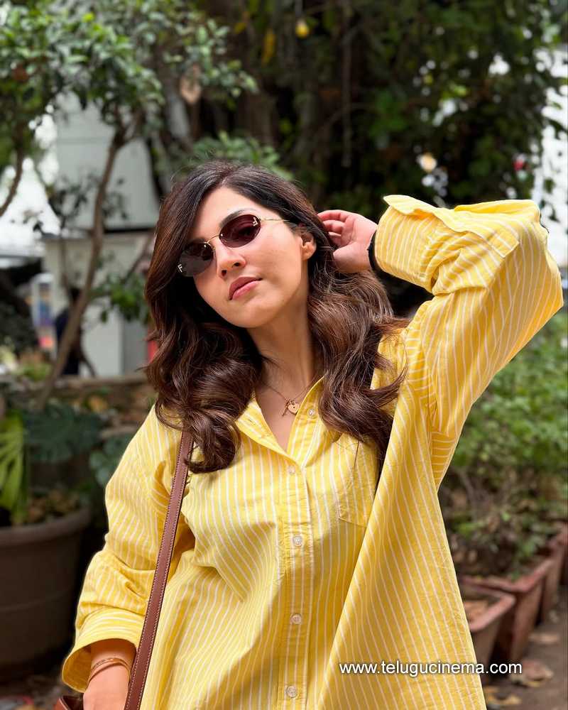 mehreen stills 03052504