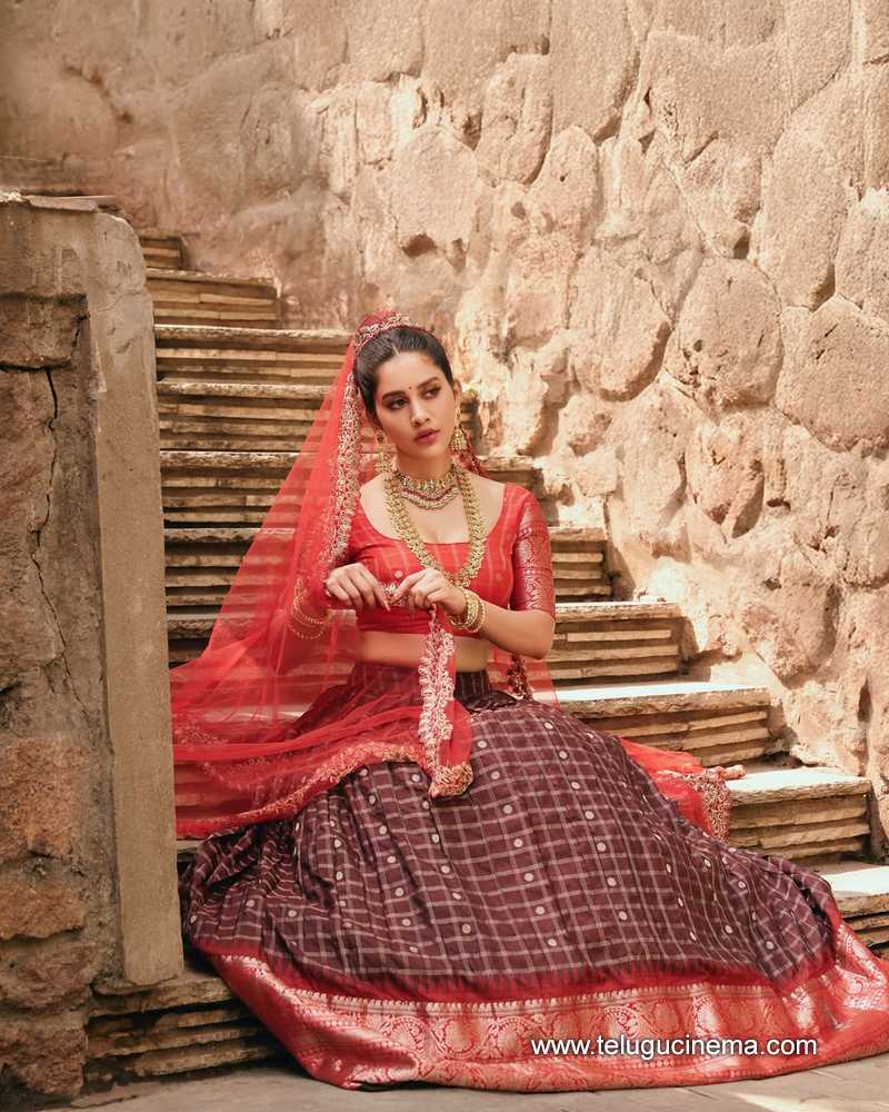 nabhanatesh stills 02052506
