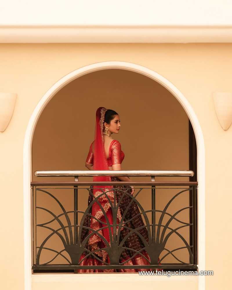 nabhanatesh stills 02052508
