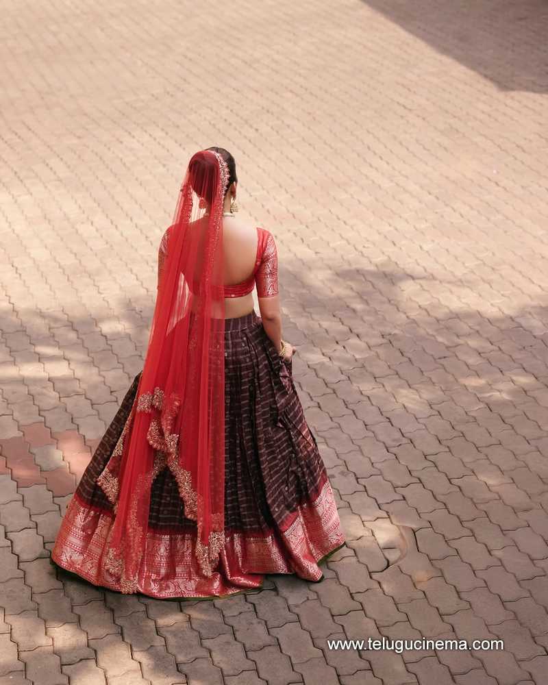 nabhanatesh stills 02052510