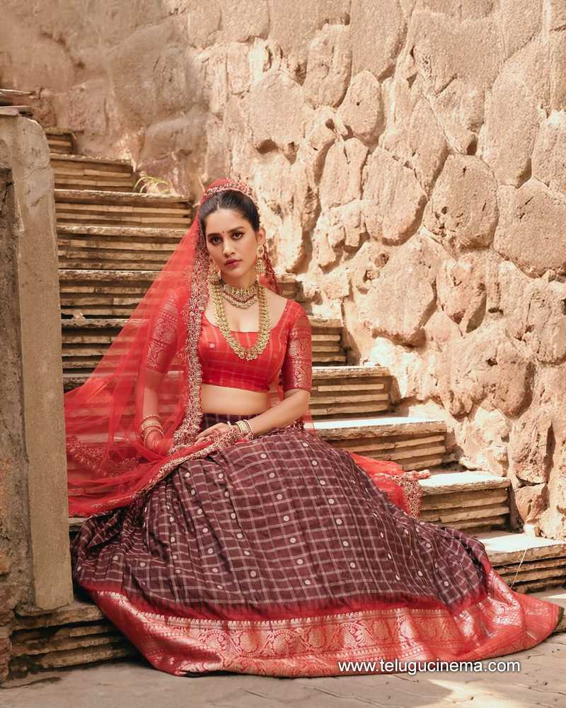 nabhanatesh stills 02052511