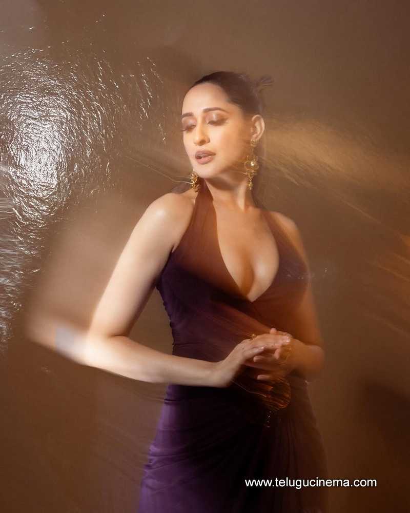 pragya stills 190525 07