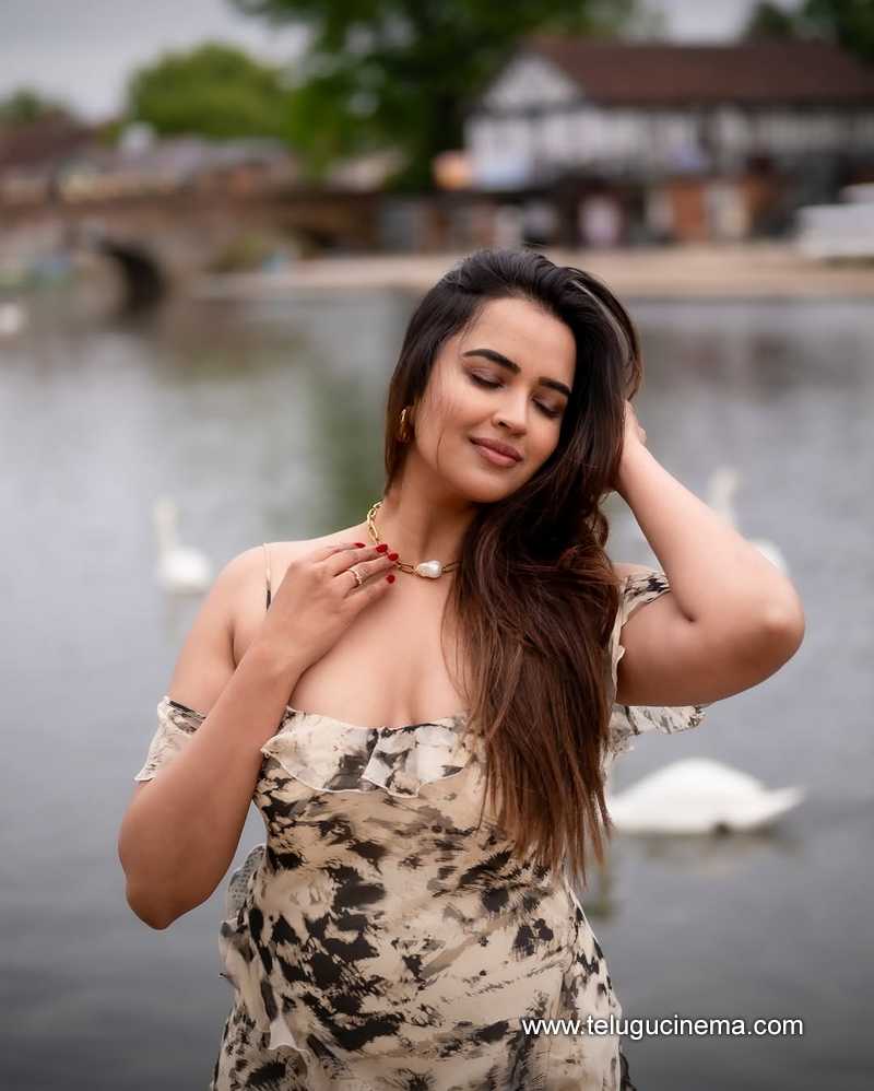 pujitha stills 240525 05
