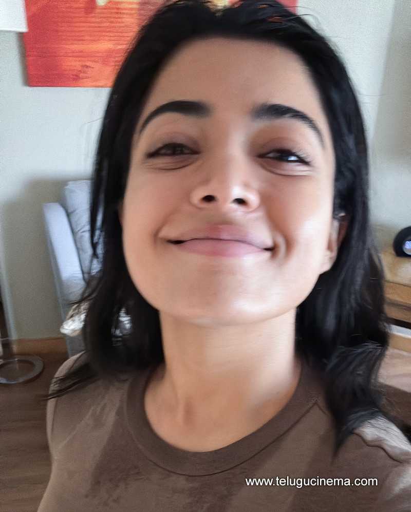 rashmika stills 03052504