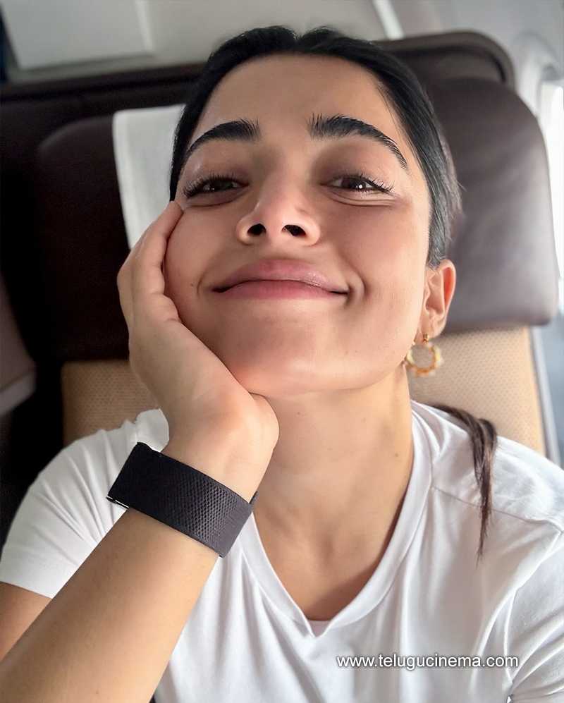rashmika stills 03052505