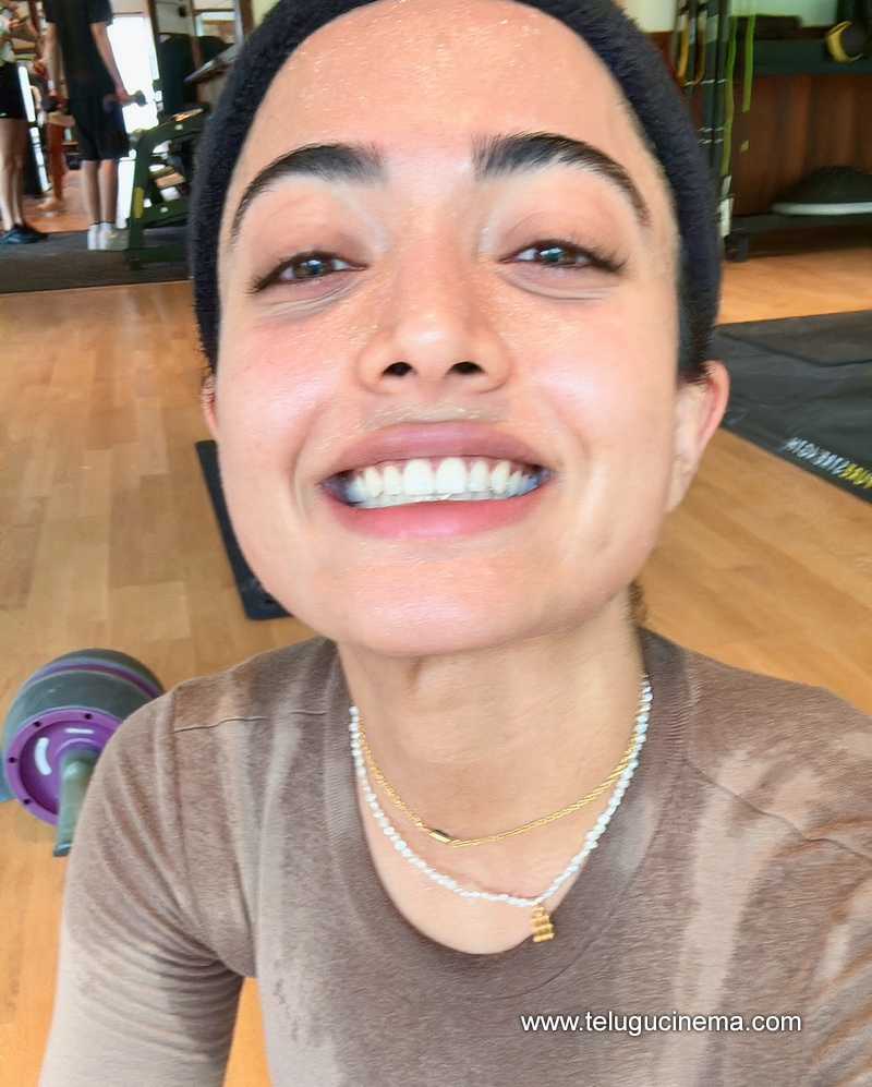 rashmika stills 03052506