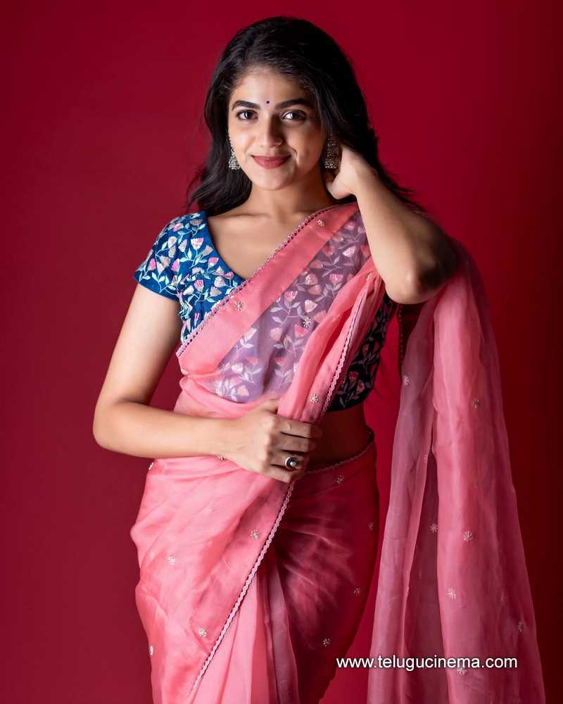 sangeetha stills 130525 03