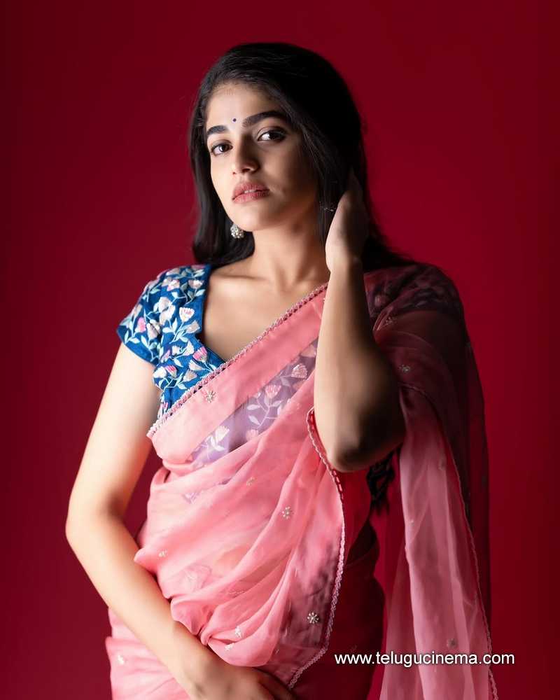 sangeetha stills 130525 04