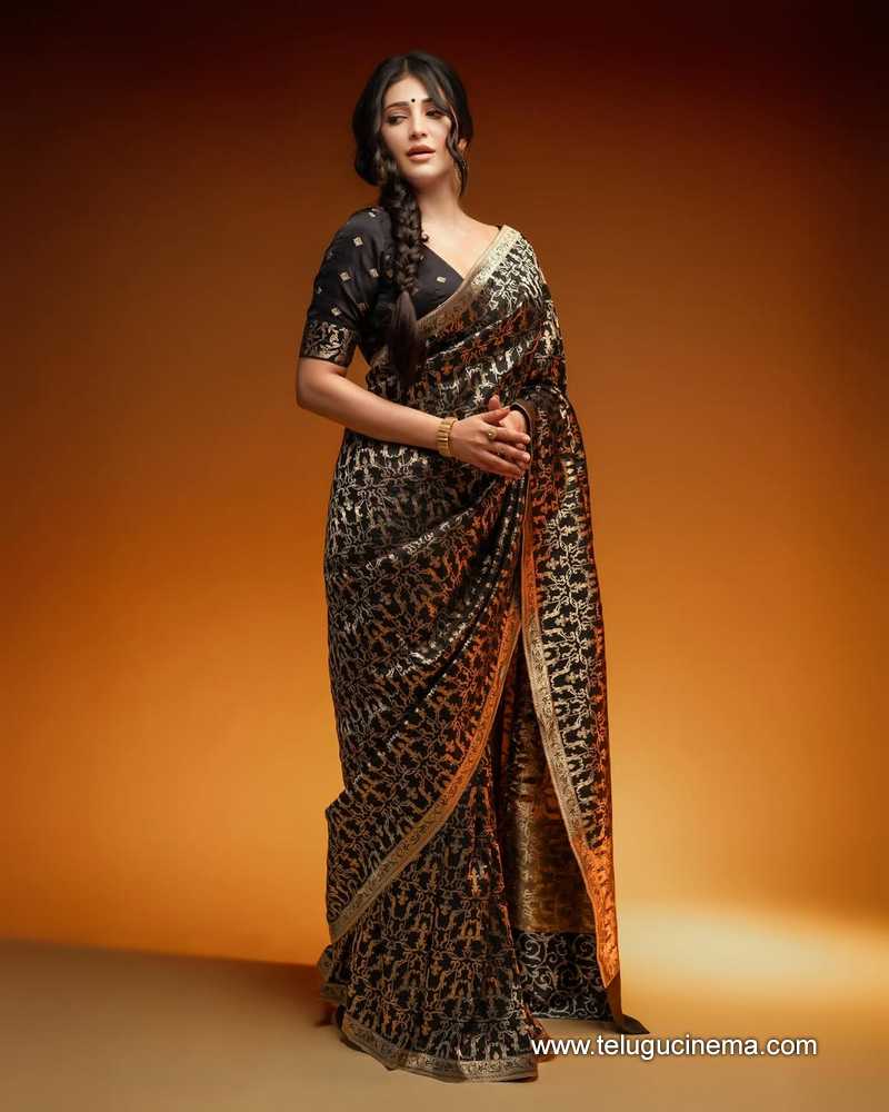 shrutihjasan stills 300525 05