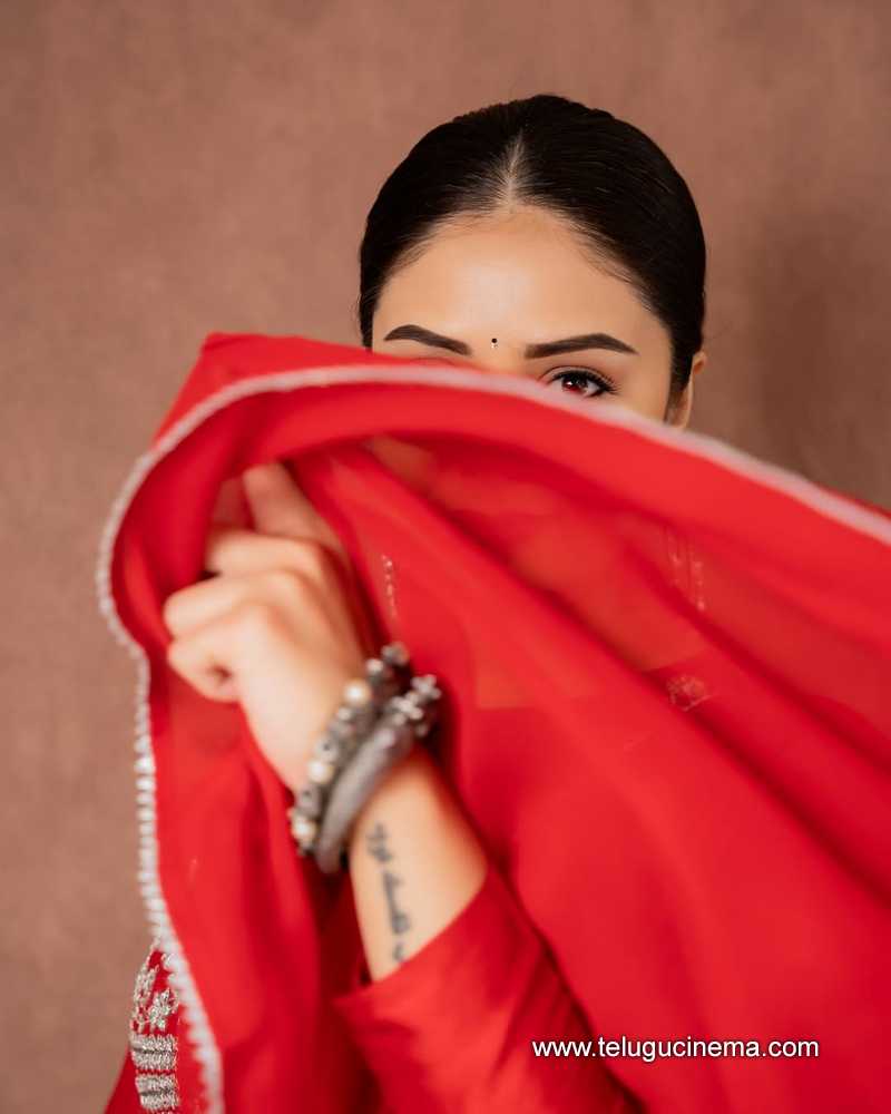sreemukhi stills 300525 16