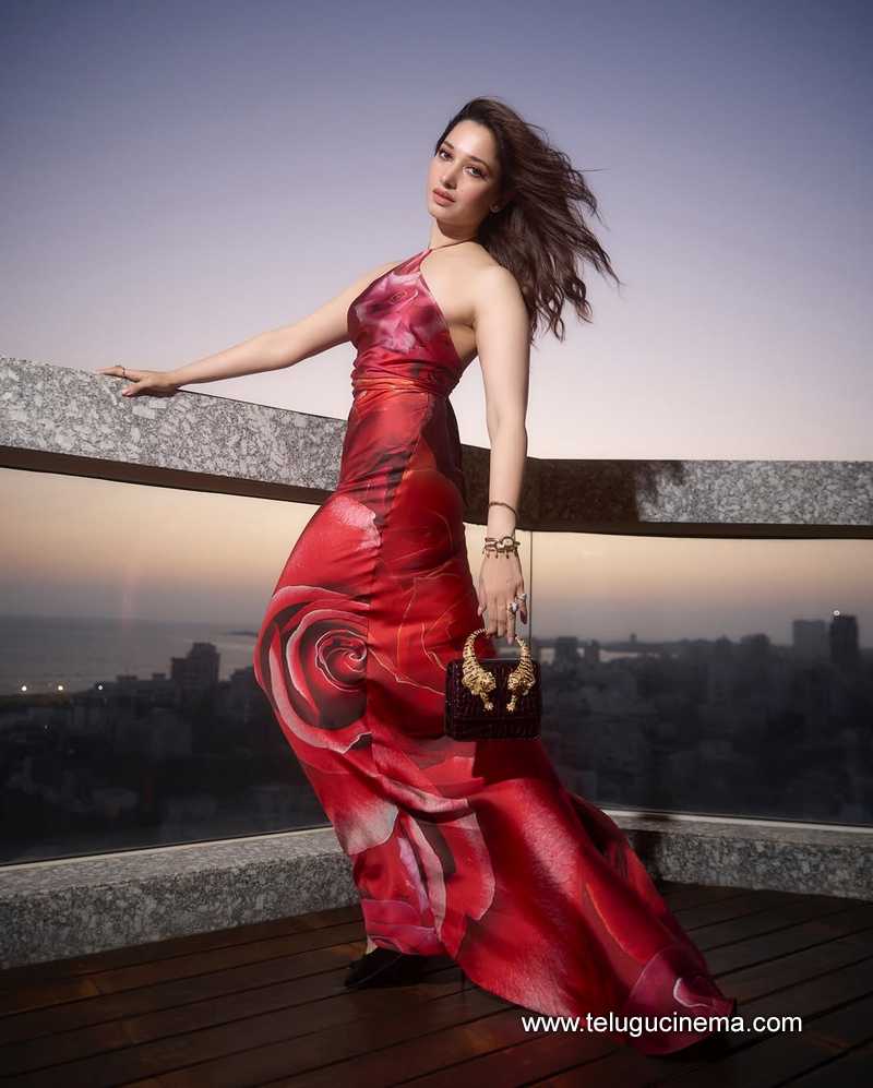 Tamannaah Bhatia looks ravishing in this gown