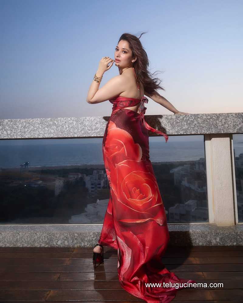 Tamannaah Bhatia looks ravishing in this gown