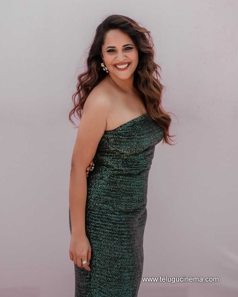 anasuya stills 140625 04