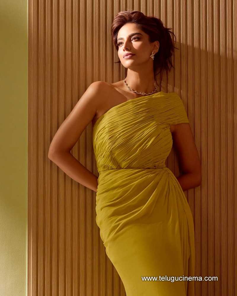 meenakshi stills 040625 01