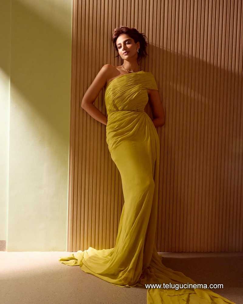meenakshi stills 040625 02