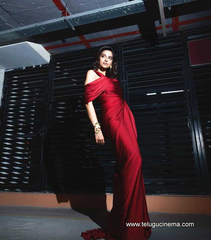 meenakshi stills 260625 01