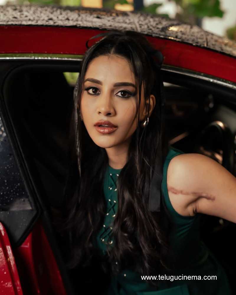 nabhanatesh stills 020625 08