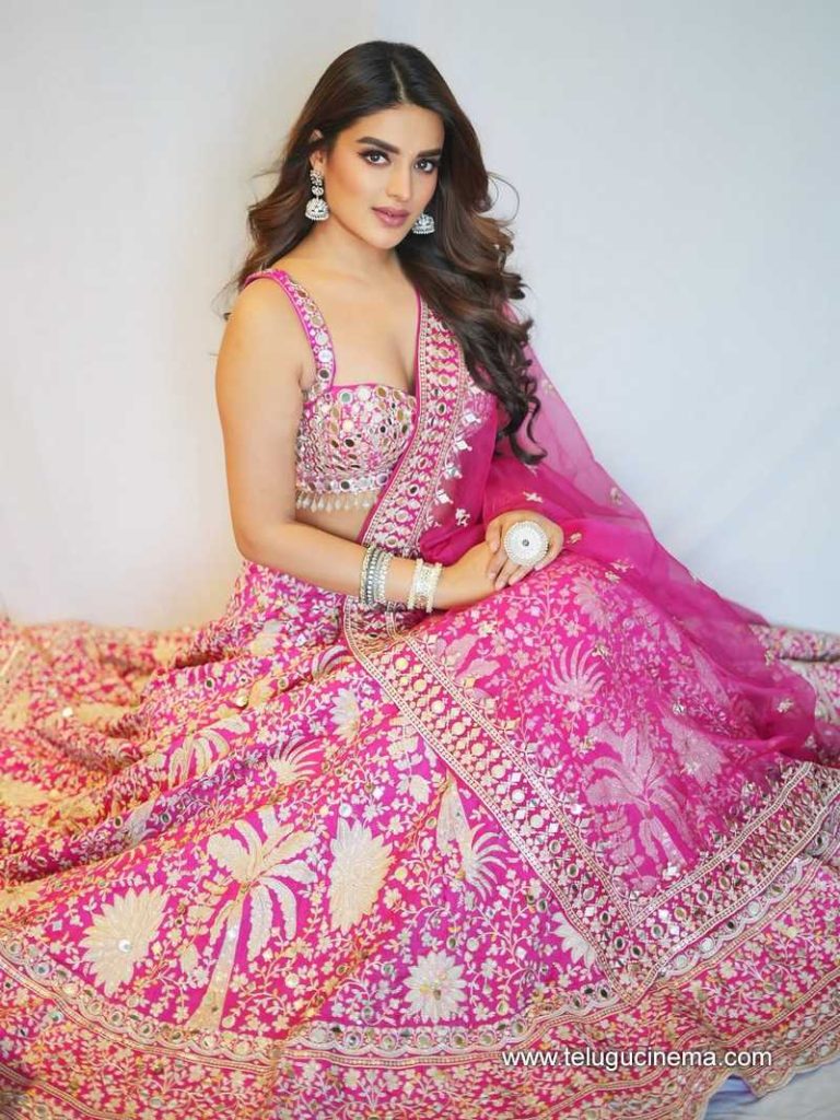 niddhi stills 270625 01