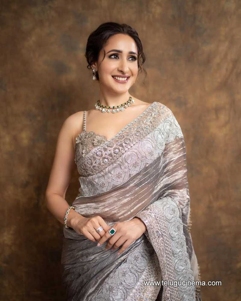 pragya stills 160625 06