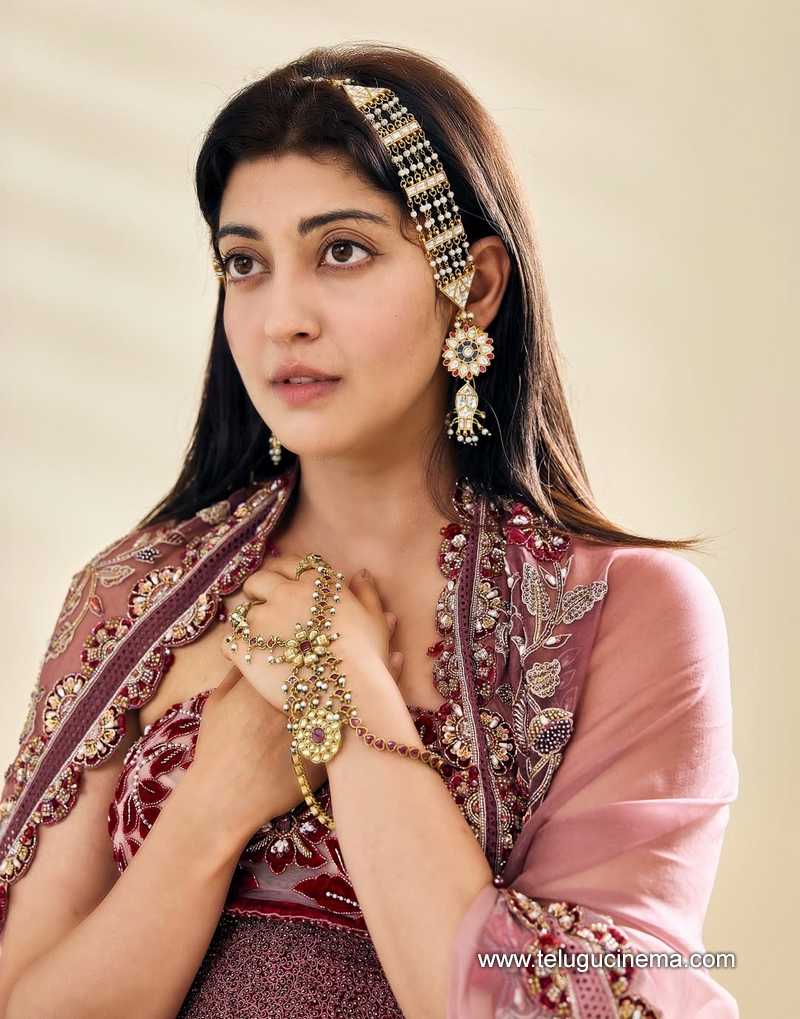 pranitha stills 060625 07