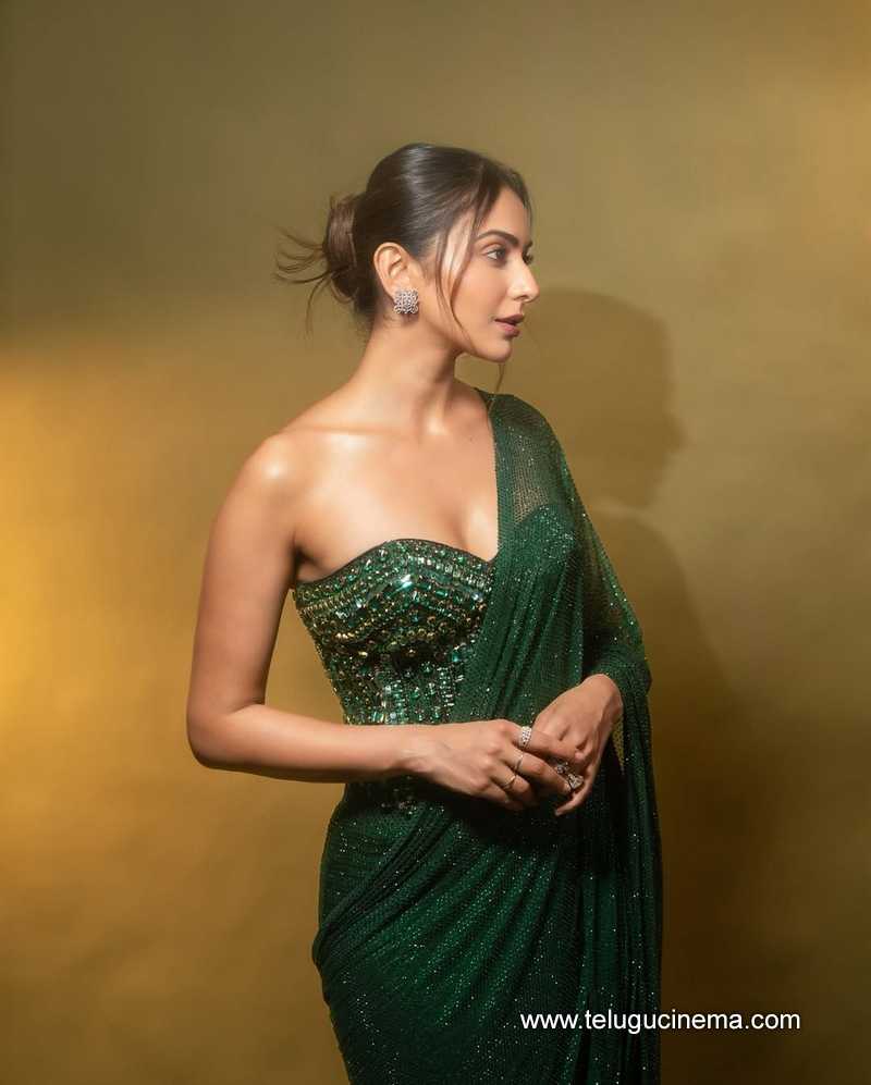 rakul stills 200625 10