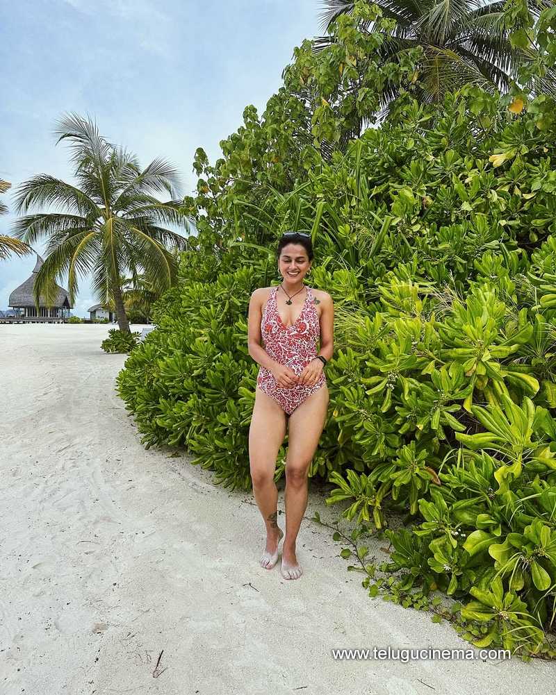 shraddhasrinath stills 270625 11