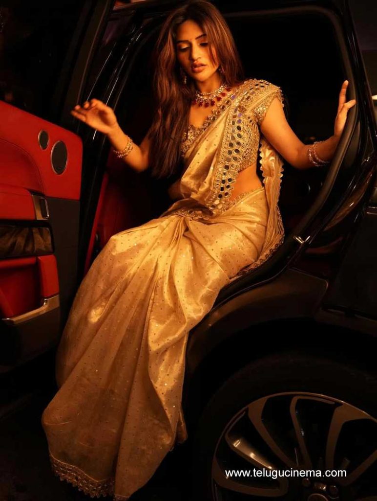 sreeleela stills 240625 05