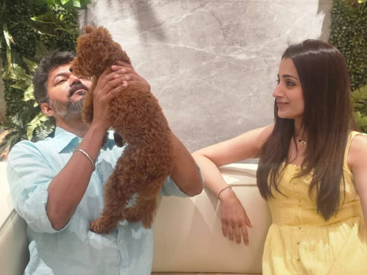 Trisha's birthday post for Vijay sparks buzz online 1 Trisha