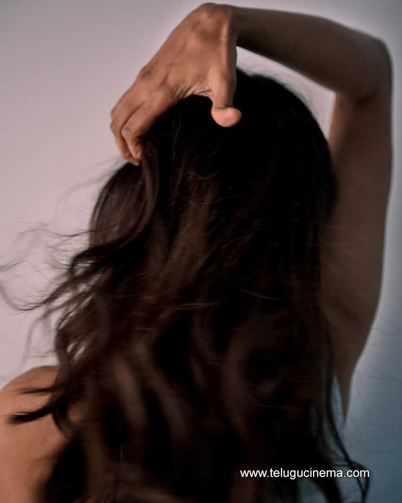 hebha stlls 010725 05