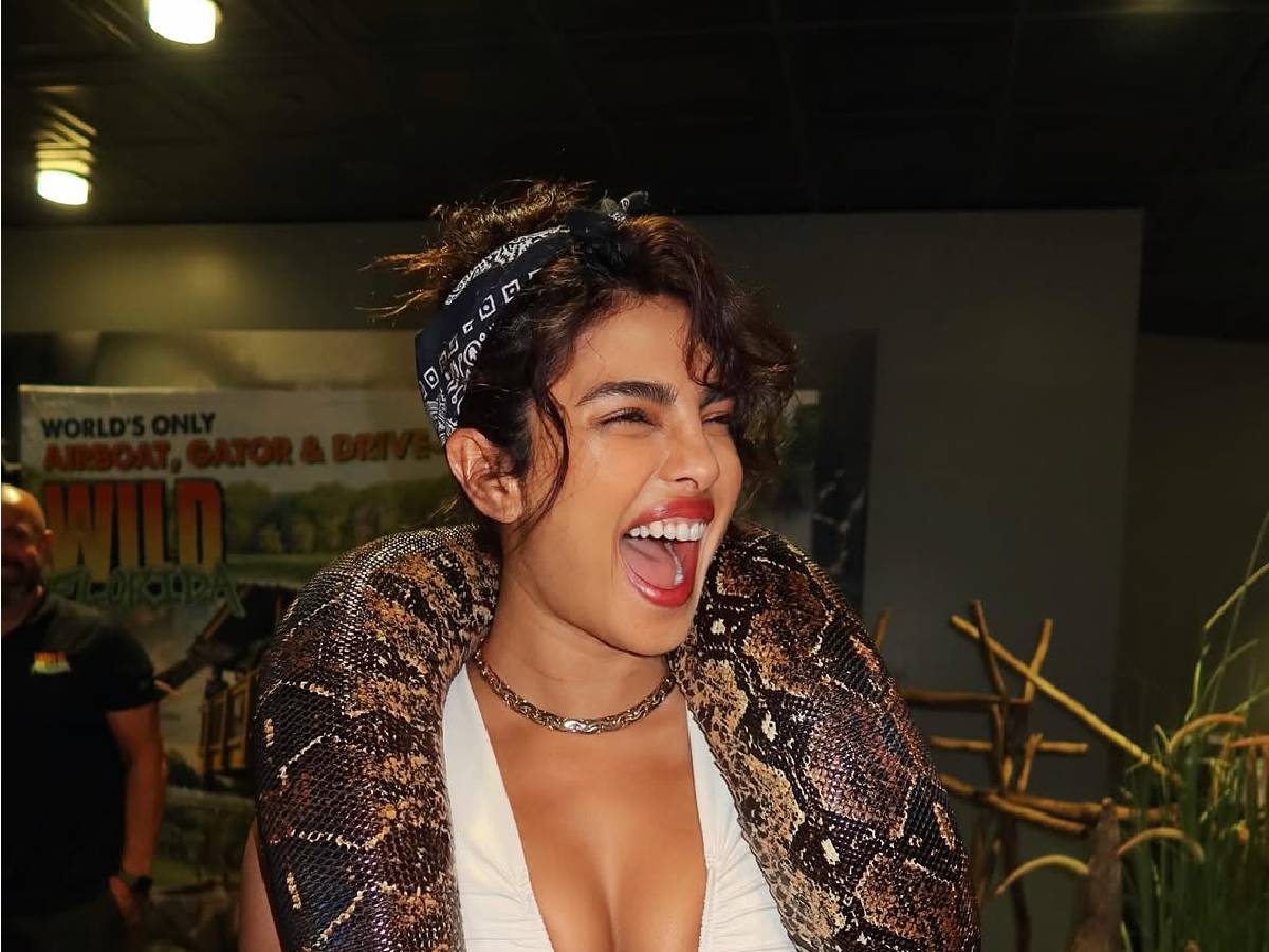 Priyanka Chopra has a fascination for huge snakes! 1 Priyanka Chopra with snakes