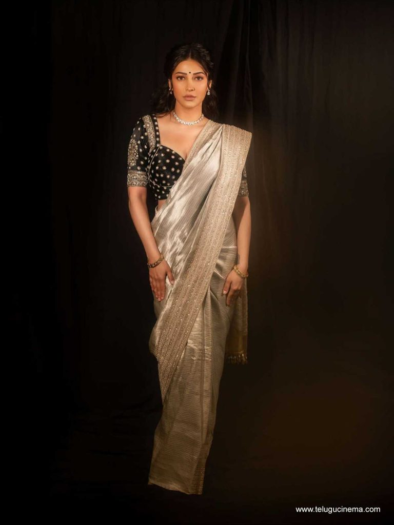 shruti photos 181025 04