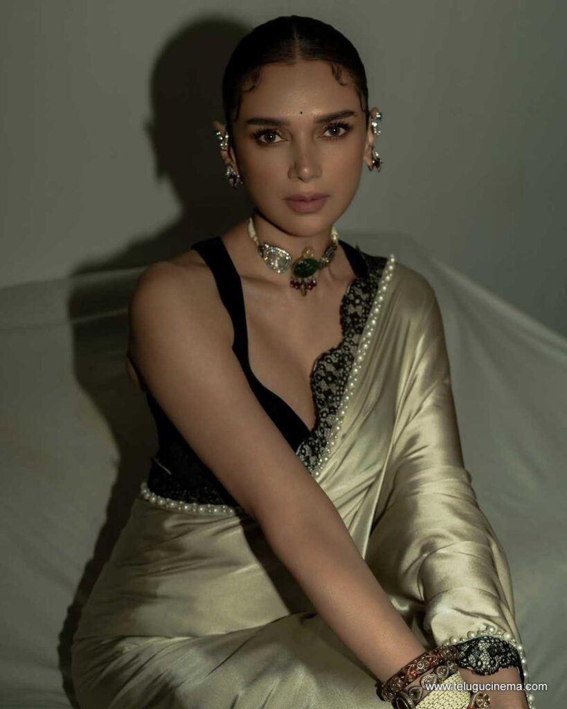 aditi stills 131125 01