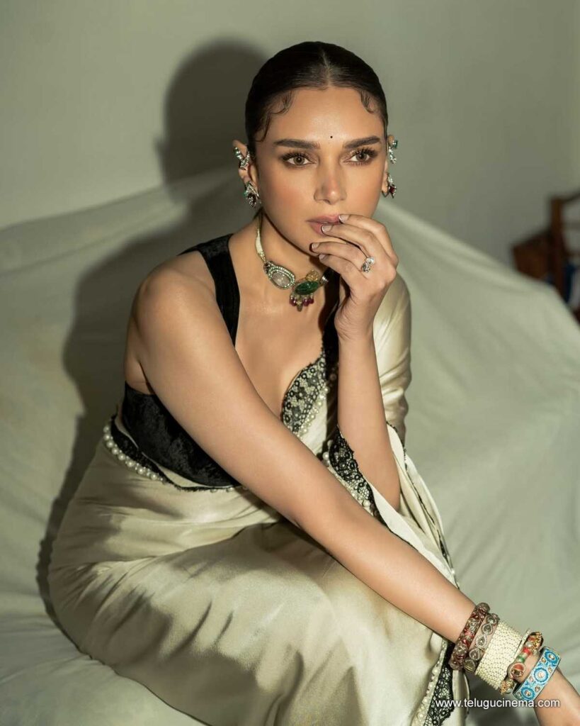 aditi stills 131125 03