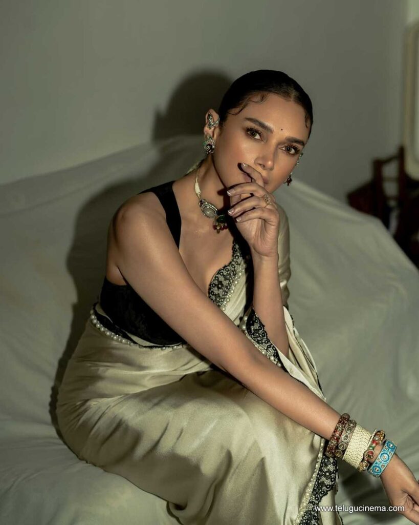 aditi stills 131125 10