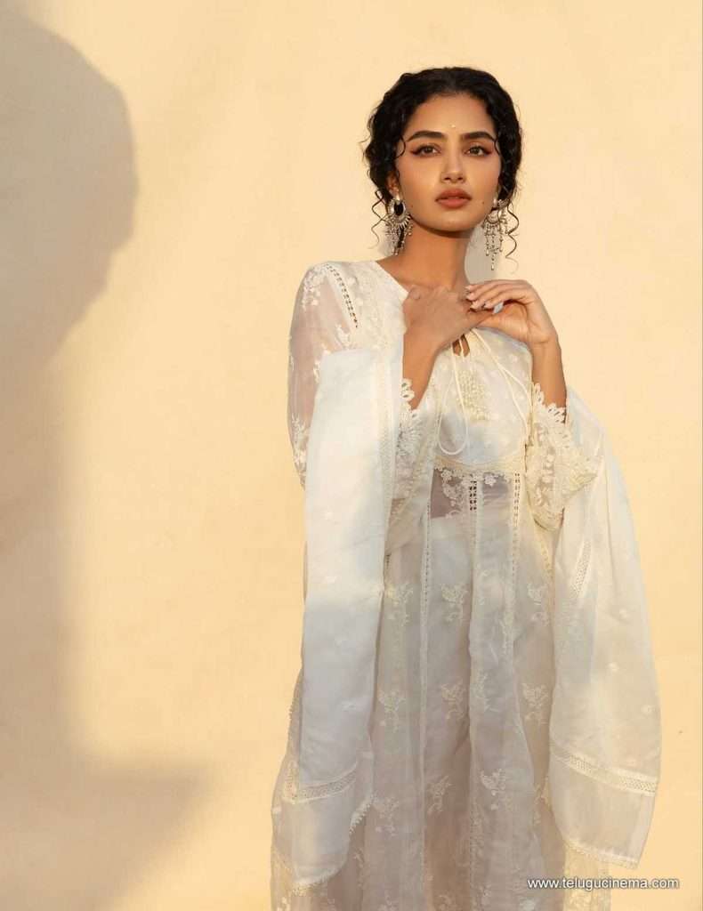 anupama photos 03 11 25 06