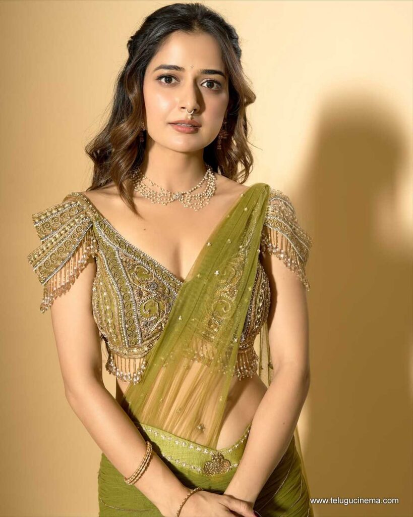 ashika stills 131125 08