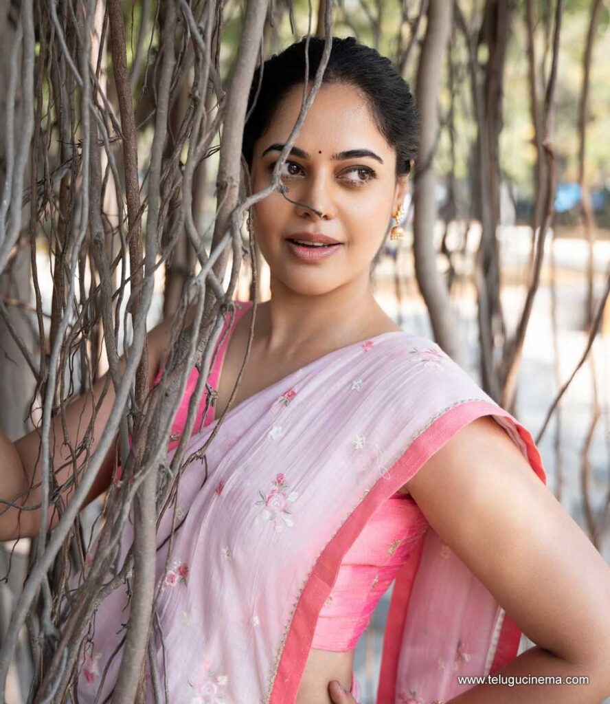 bindhu stills 201125 01